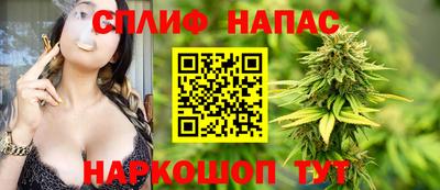 индика Гусь-Хрустальный