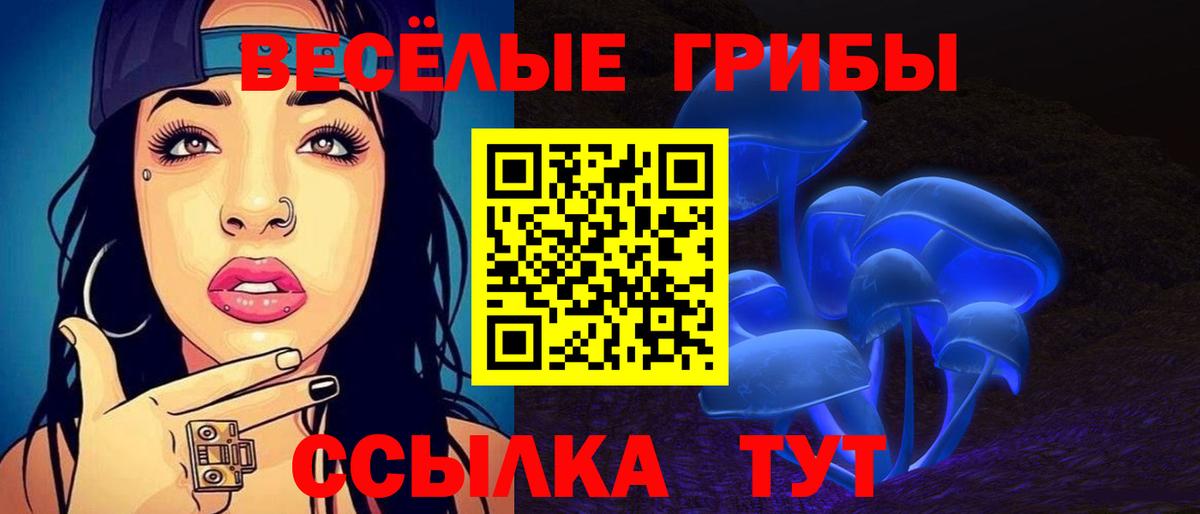 Псилоцибиновые грибы Cubensis  Псилоцибиновые грибы мухоморы  Большой Камень  Вход с VPN 