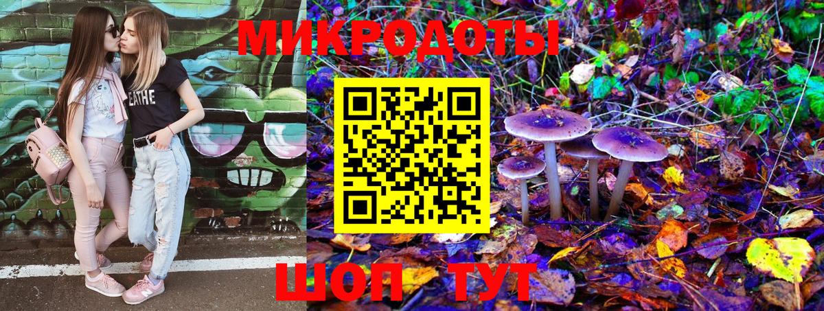 Псилоцибиновые грибы Psilocybine cubensis Большой Камень